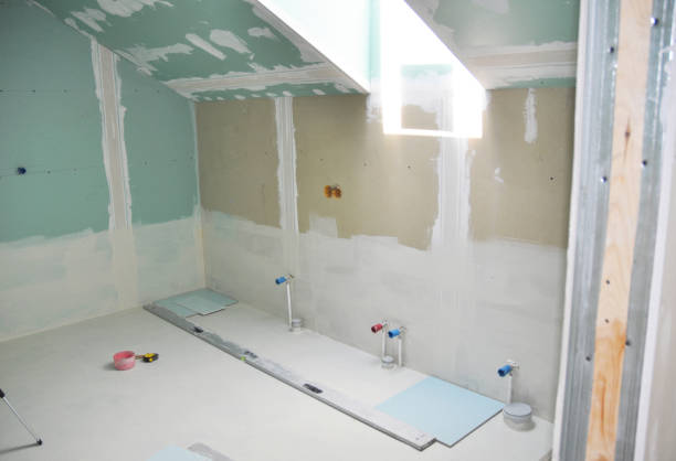 Best Environmental Consulting for Mold Prevention  in Ashburn, VA