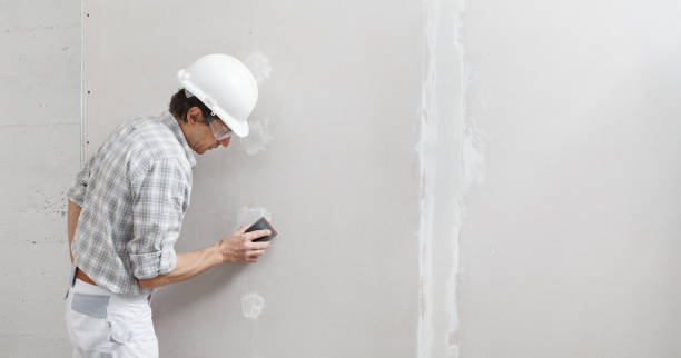 Ashburn, VA Mold Removal Company