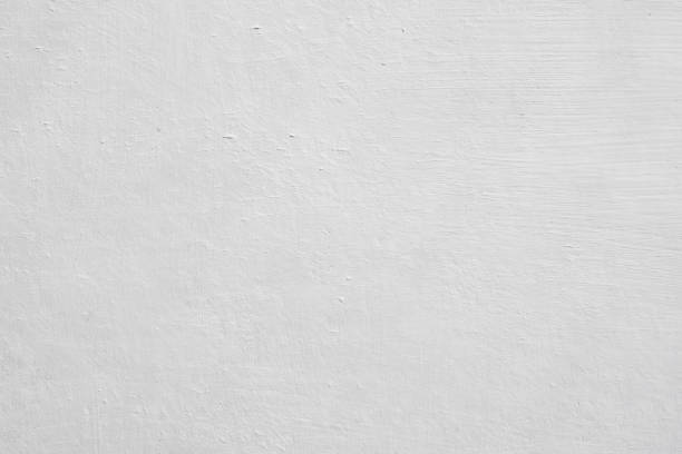 Best Emergency Mold Remediation  in Ashburn, VA